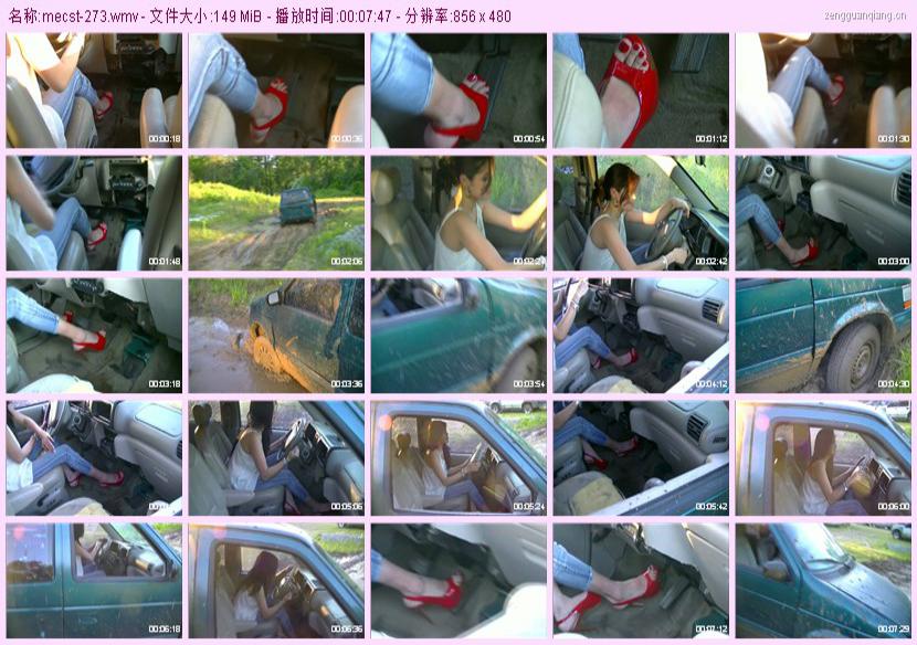 mecst-273
